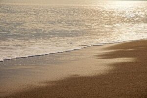 Mikaela Mayer vs. Sandy Ryan: The Great Rematch 