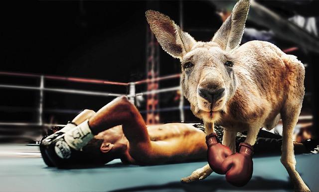 Get Ready for Action: Your Ultimate Guide to the Times Square Boxing Showdown!