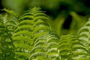 The uprooting of Plant: Five takeaways from the huge Armando Resendiz upset