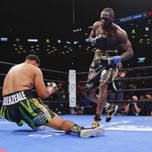 Unbeaten Champion Issues Bold Challenge to Deontay Wilder!