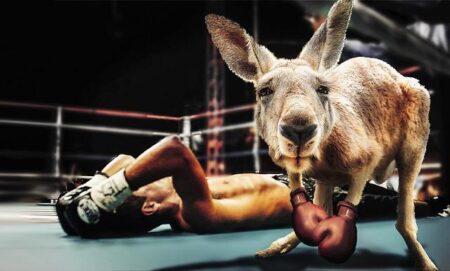 Knockout Surprise: The Most Shocking Upset of the Year in Boxing!