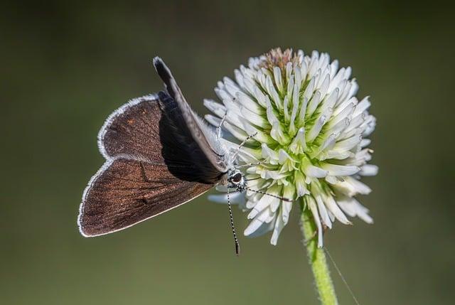 Katie Taylor vs Amanda Serrano: Fight Night Preview, Start Time, and Live Viewing Guide