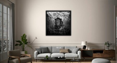 Abass Baraou Heads Into the Lion’s Den: German WBA Champion Aims to Rip Xander Zayas’ WBO Title in Puerto Rico Showdown on January 31