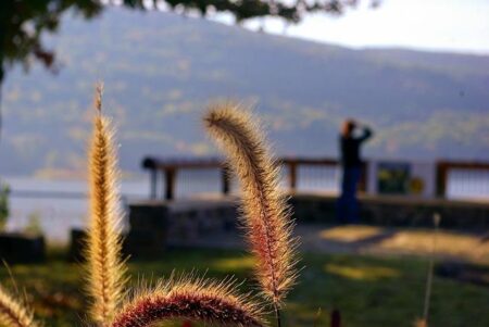 WBO Deadline Sparks Intense Callum Smith vs. David Morrell Showdown as Purse Bid Looms