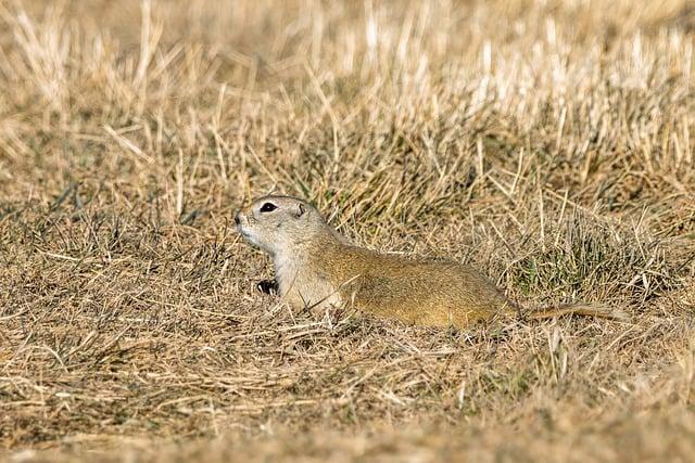Fans Fire Back at Richardson Hitchins Over Bold “Best Fighter” Claim Fans Fire Back at Richardson Hitchins Over Bold “Best Fighter” Claim