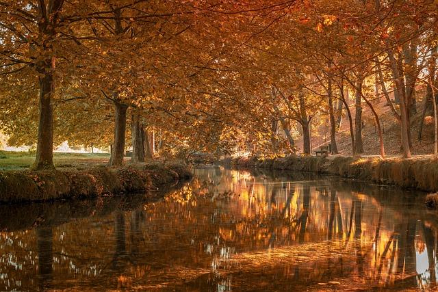 Cruz vs. Roach: An Unforgettable Round-by-Round Battle in San Antonio Cruz vs. Roach: An Unforgettable Round-by-Round Battle in San Antonio