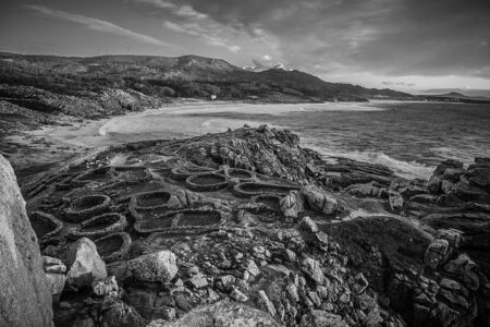 Carrington and Castro Face Off for Vacant WBC Featherweight Title on January 31