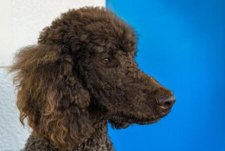 Kenny Ellis Rejects “Too Young” Talk as Abdullah Mason’s Rise Draws Attention Kenny Ellis Rejects “Too Young” Talk as Abdullah Mason’s Rise Draws Attention