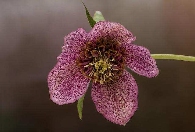 Billy Nelson Shares Heartfelt Details About His Breakup with Lewis Crocker