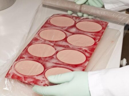 Agit Kabayel vs Damian Knyba: Your Ultimate Fight Night Guide