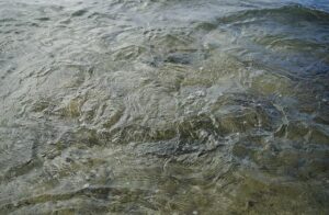 Eddie Hearn: Anthony Joshua needs time and privacy