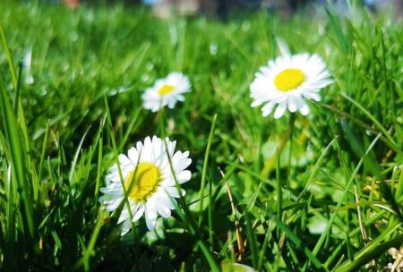 Ryan Garcia Unleashes Intense Training Session Ahead of Epic Title Clash with Mario Barrios