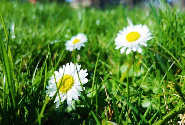 Ryan Garcia Unleashes Intense Training Session Ahead of Epic Title Clash with Mario Barrios Ryan Garcia Unleashes Intense Training Session Ahead of Epic Title Clash with Mario Barrios