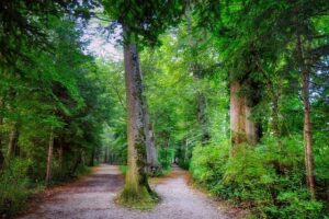 Fork in the Road: How to Break Free and Make the Most of Boxing Day