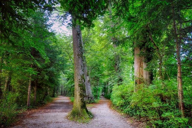 Fork in the Road: How to Break Free and Make the Most of Boxing Day