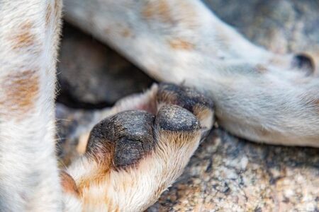 Hearn Delivers Stark Warning to Benn Following White’s Crushing Victory Over Aspinall