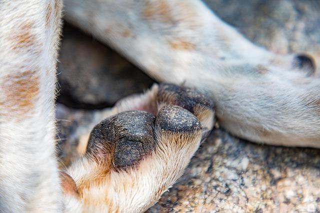 Hearn Delivers Stark Warning to Benn Following White’s Crushing Victory Over Aspinall