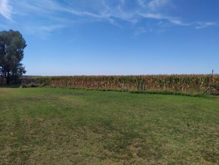 Navarrete ordered to face Suarez again after disputed first fight