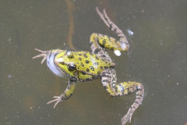 Andres Cortes and Eridson Garcia Light Up the Ring in Thrilling Zuffa Boxing Easter Sunday Tripleheader
