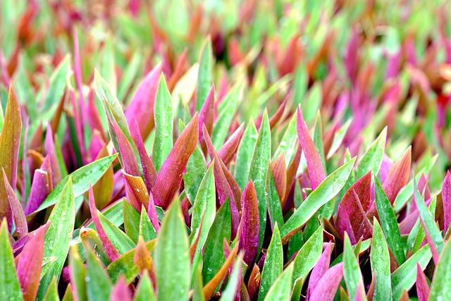 Moses Itauma vs Jermaine Franklin: Live Fight Results and Reactions Unveiled Moses Itauma vs Jermaine Franklin: Live Fight Results and Reactions Unveiled