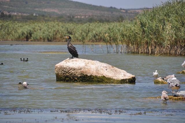 Don’t Miss Tonight’s Kubrat Pulev vs. Murat Gassiev Showdown: Start Time, Ringwalks, Undercard, Predictions & Odds