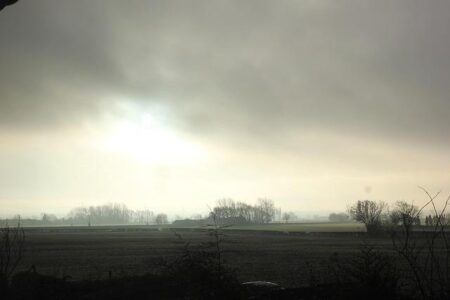 Derek Chisora Clashes With Piers Morgan, Deontay Wilder Shuts Down Fury Talk