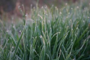 Tim Bradley Anticipates a Fierce Fight, Gives Zayas a 60-40 Edge Over Ennis