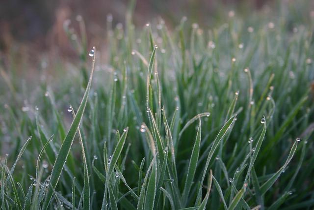 Tim Bradley Anticipates a Fierce Fight, Gives Zayas a 60-40 Edge Over Ennis