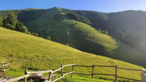 Yokasta Valle vs. Yadira Bustillos: An Unforgettable Battle in the Ring